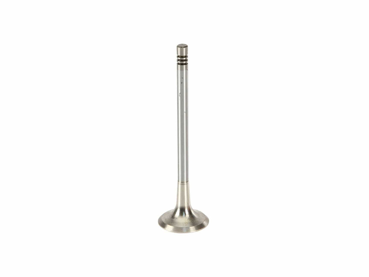 Exhaust Valve - VW/Audi (many models check fitment)