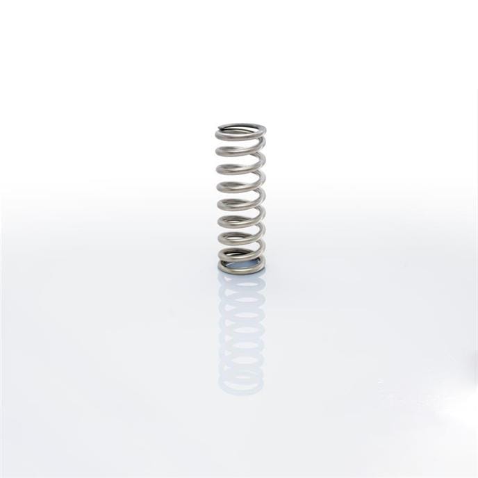 Eibach ERS 2.50" I.D. | 12inch Length | 250lbs/inch