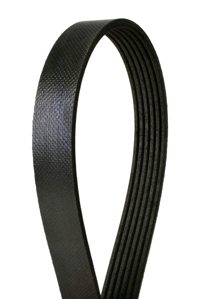 Accessory Belt - VW/Audi / Mk7 & 8V / Gen3 1.8T & 2.0T