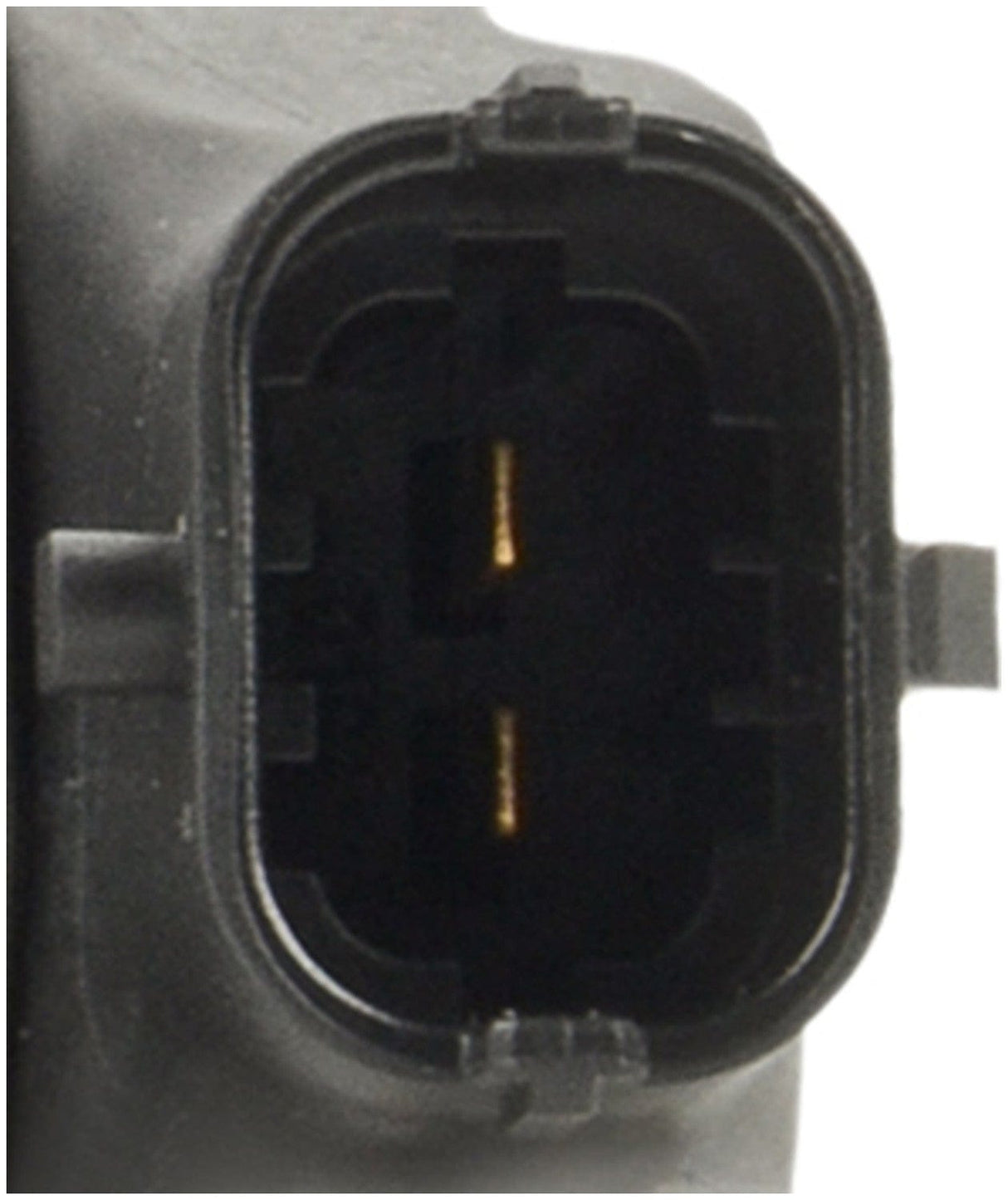 Common Rail Injector