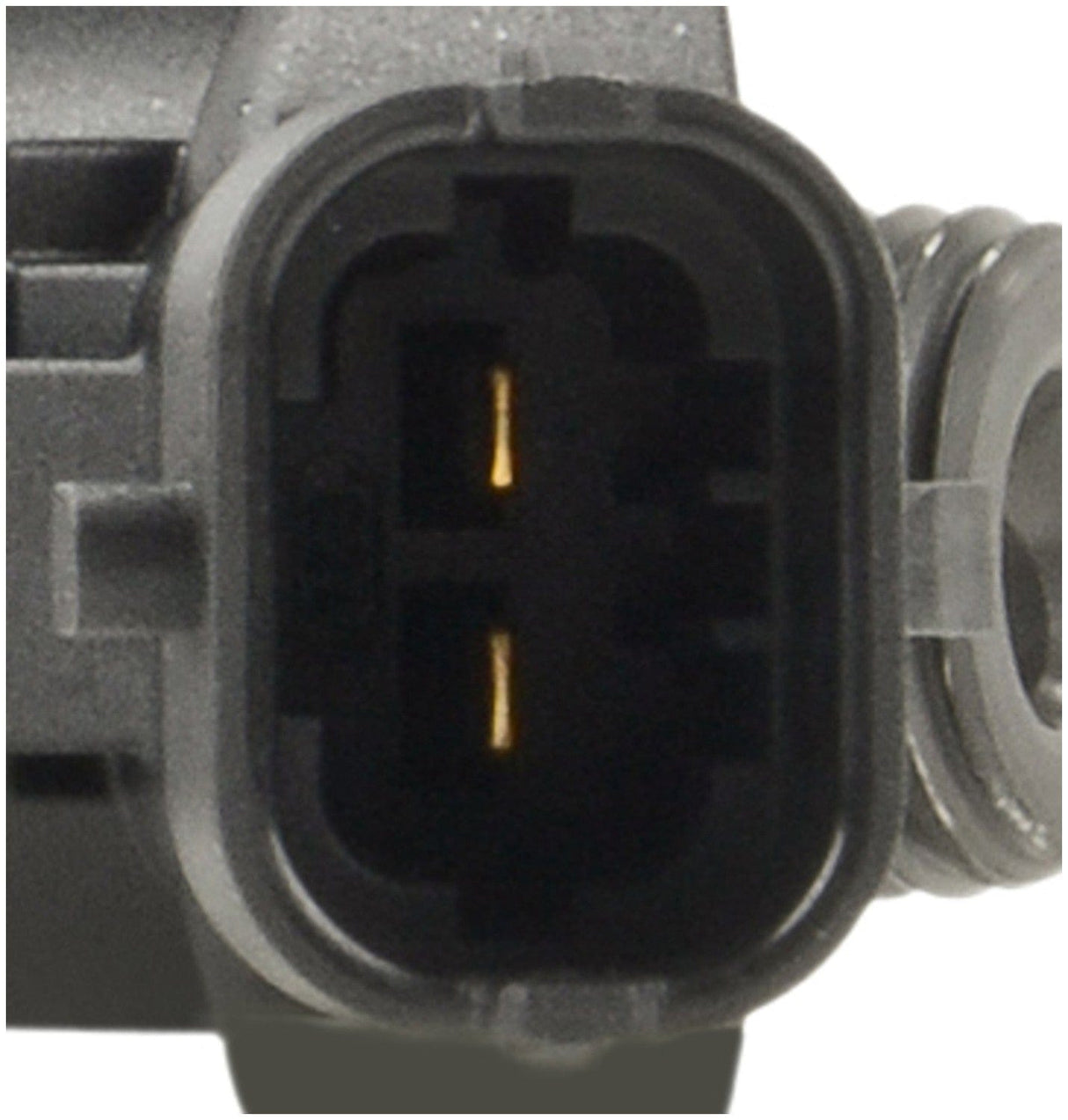 Common Rail Injector