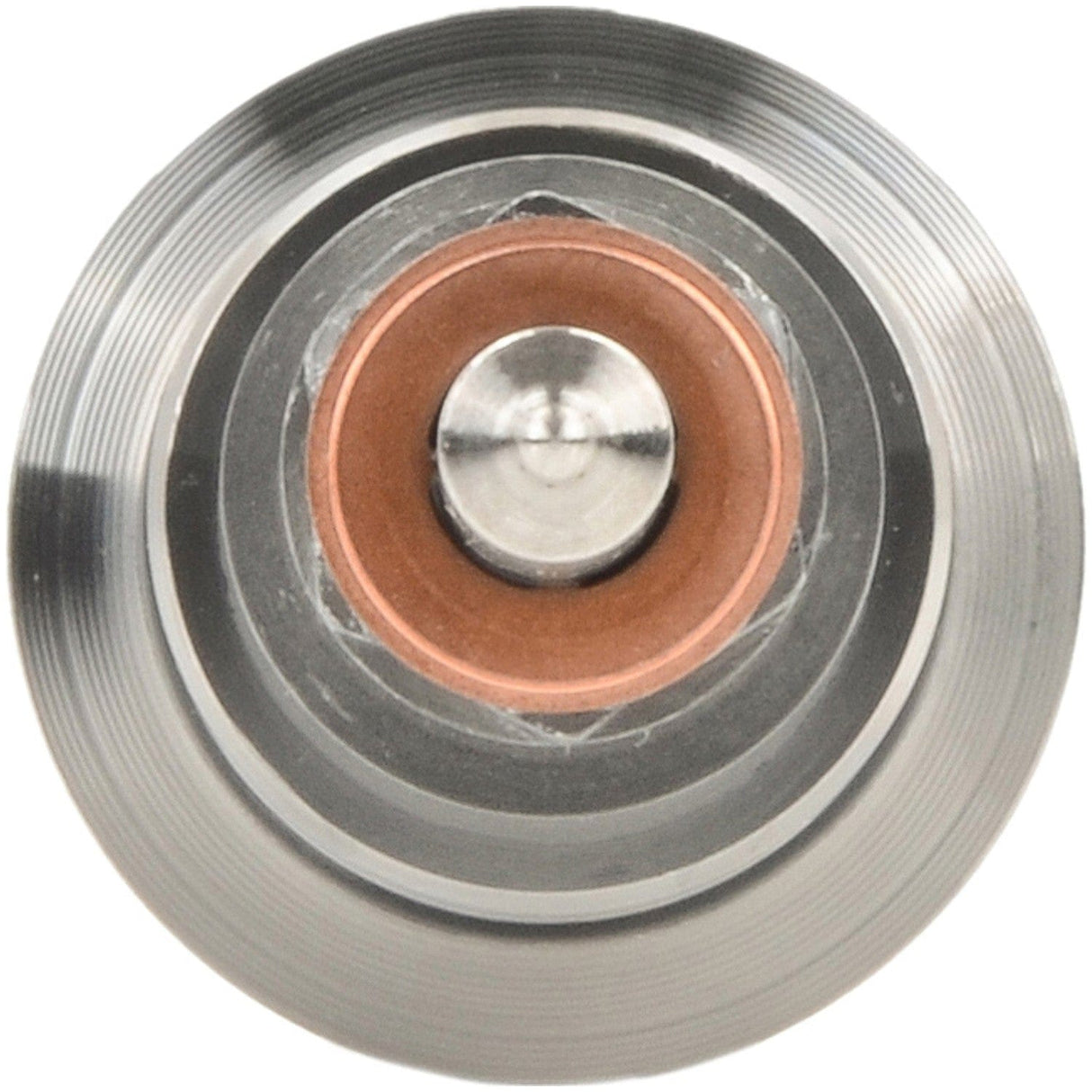 Common Rail Injector