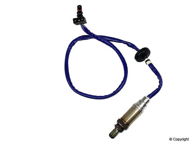 Oxygen Sensor