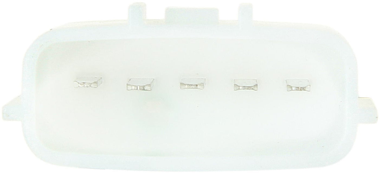 Fuel Pump Module Assembly