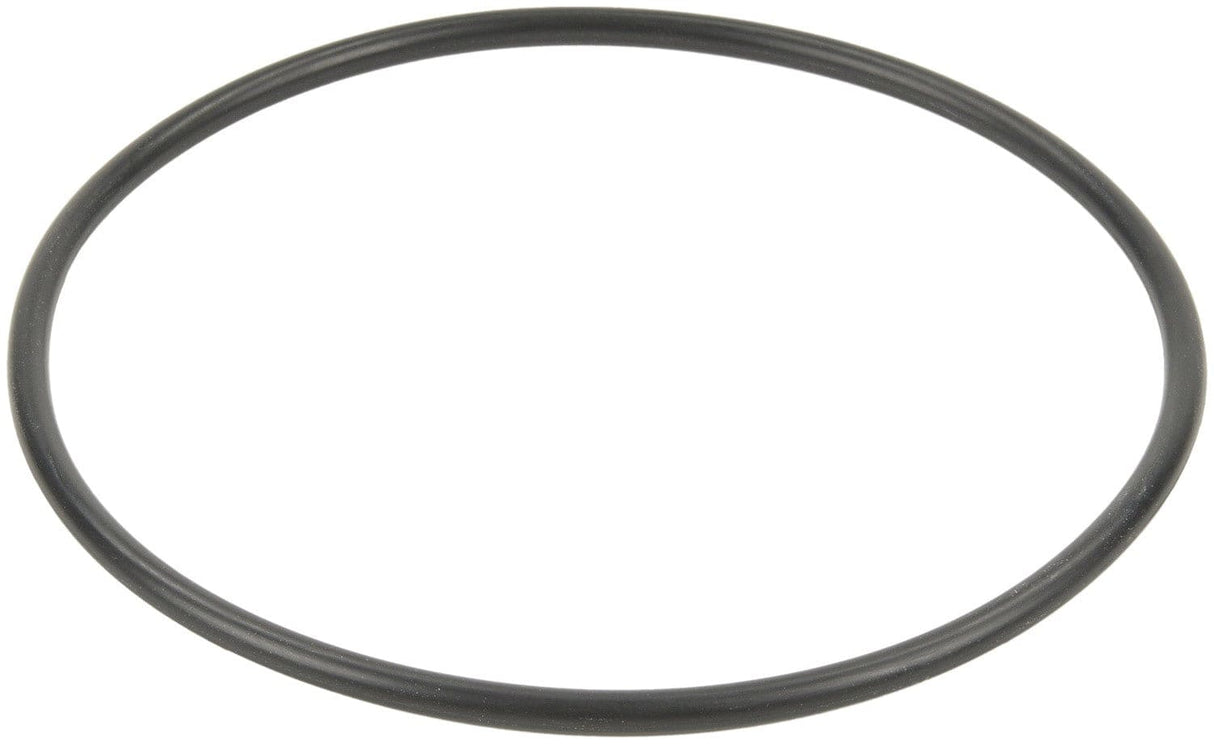 Fuel Pump Tank Seal