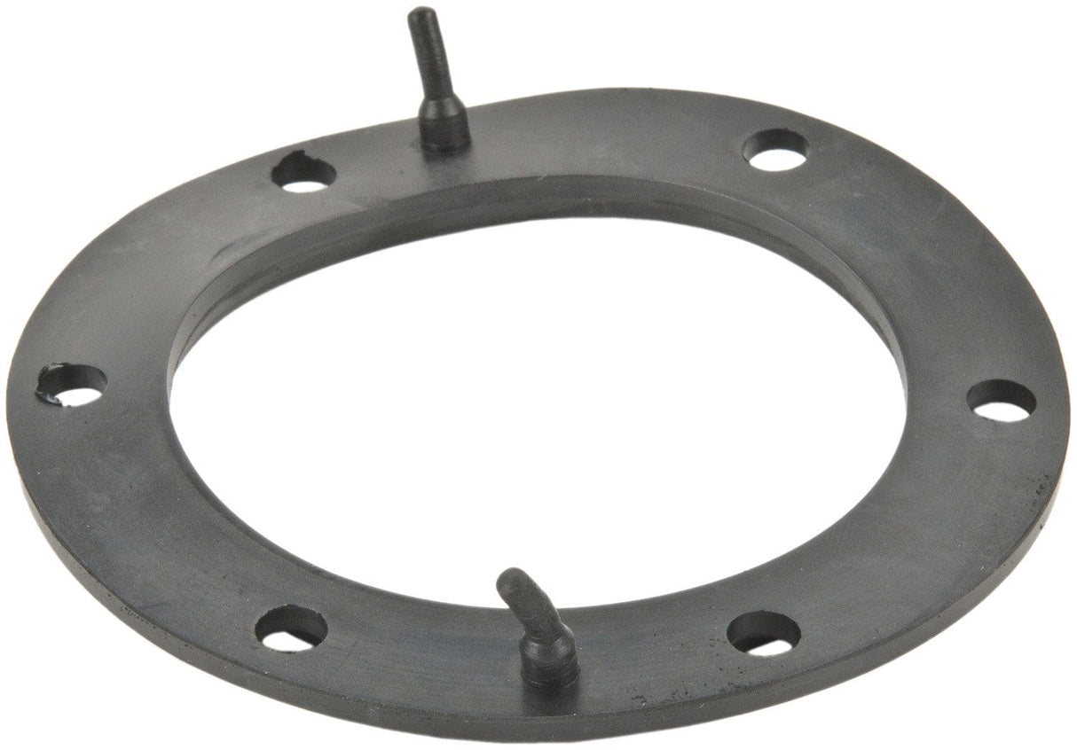 Fuel Pump Tank Seal