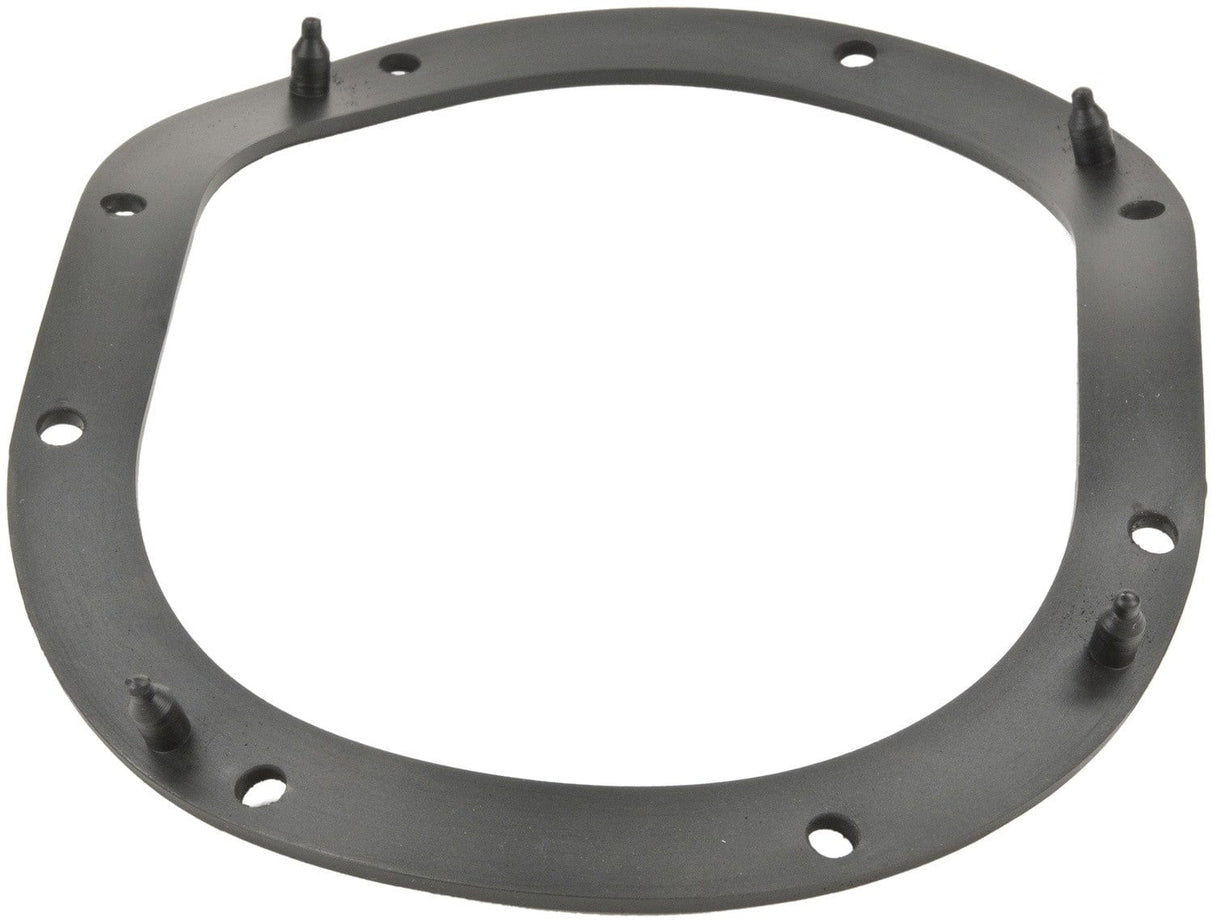 Fuel Pump Tank Seal