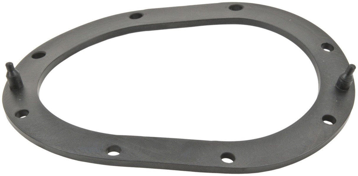 Fuel Pump Tank Seal