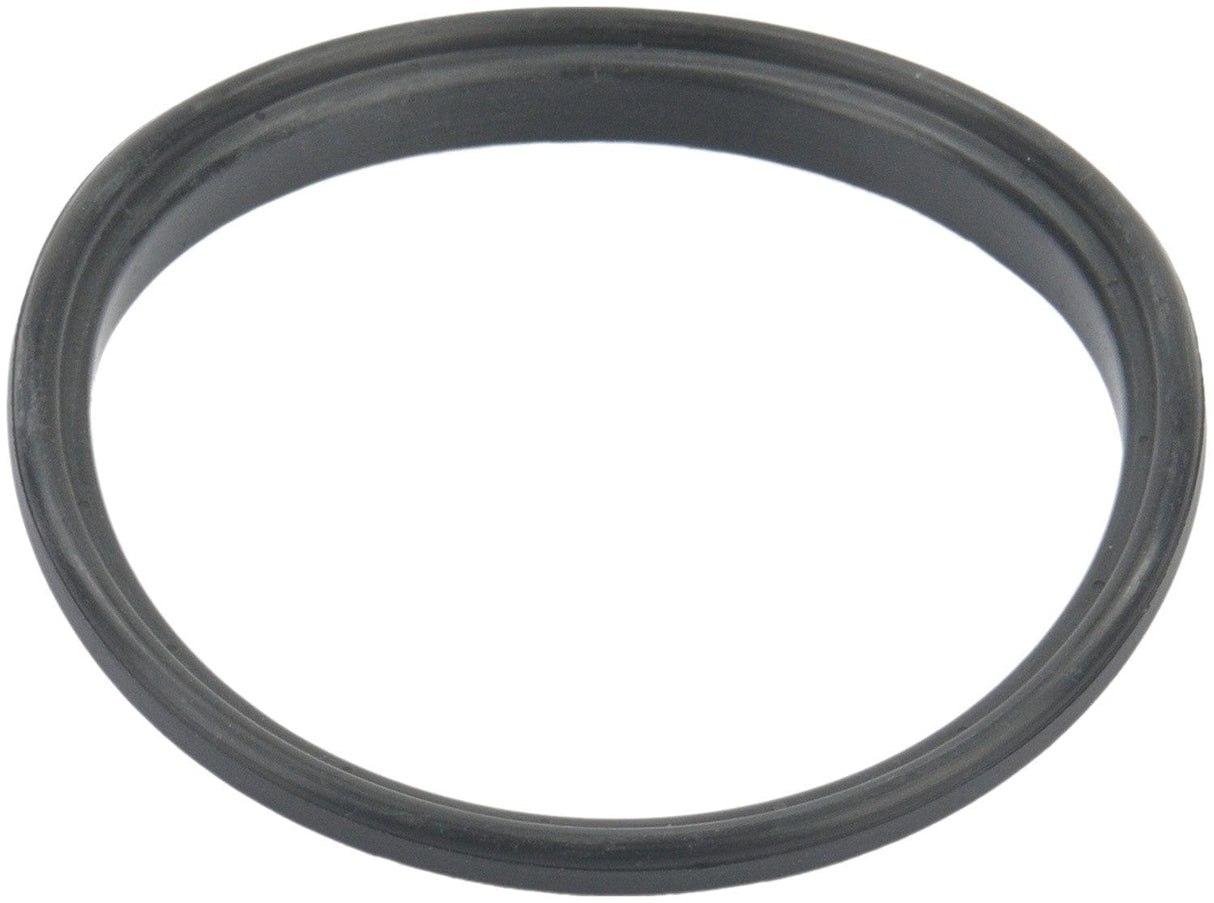 Fuel Pump Tank Seal
