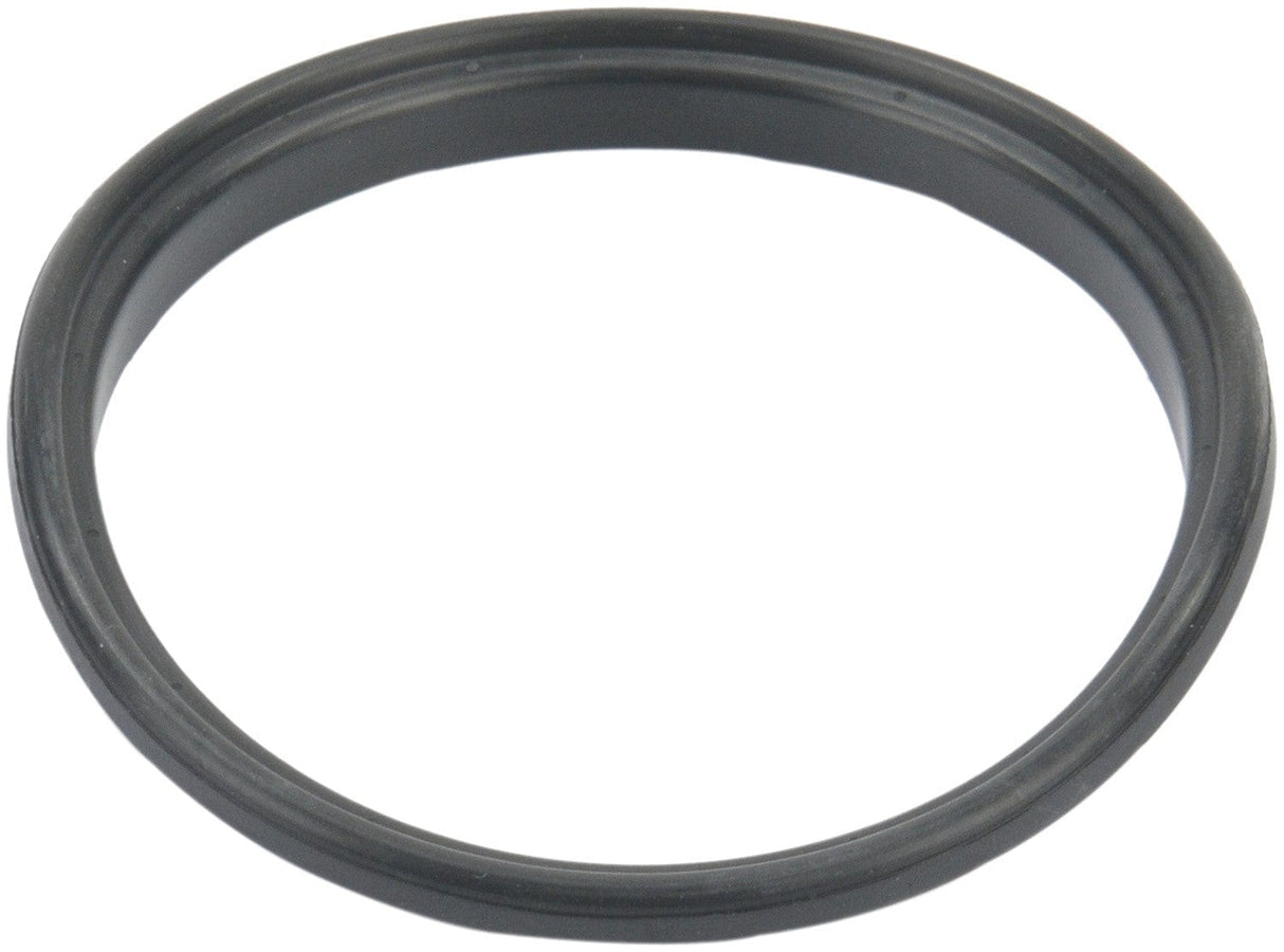 Fuel Pump Tank Seal