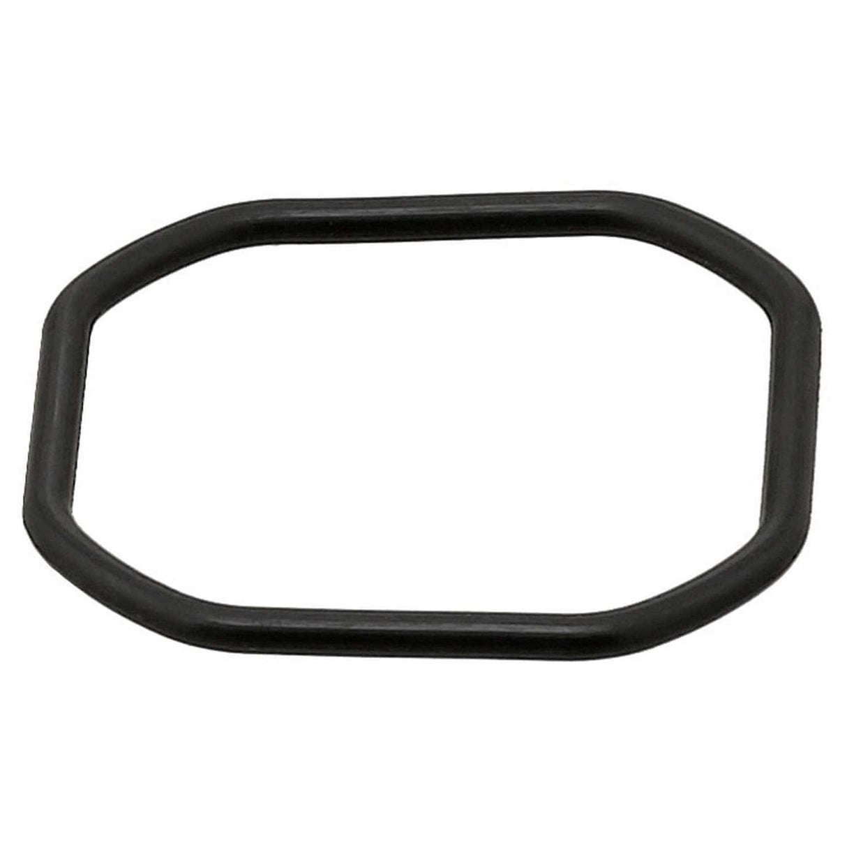 Coolant Thermostat Seal - BMW / N54 / N55