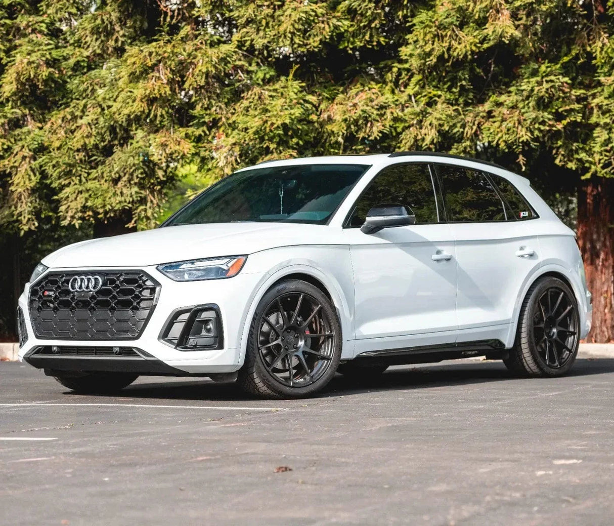 034 Motorsport Dynamic+ Lowering Springs - Audi B9/B9.5 SQ5
