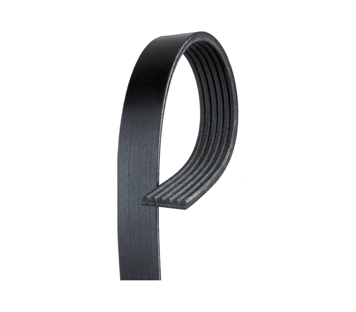 Accessory Belt - VW/Audi / 1.8T Gen3 / 2.0T Gen3 / Mk6 Jetta / B7 Passat