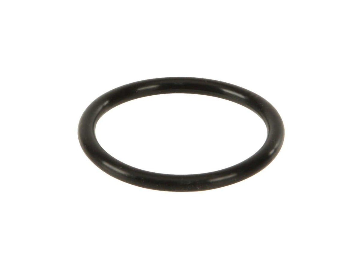 Water Pump O Ring - MINI Cooper / S / JCW / R52 / R53