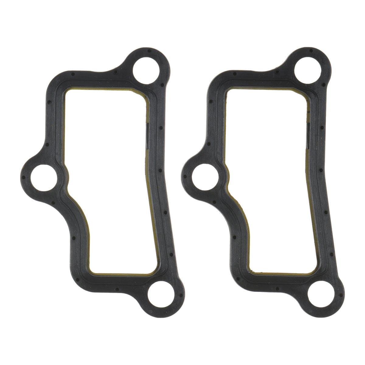 Fuel Injection Plenum Gasket Set