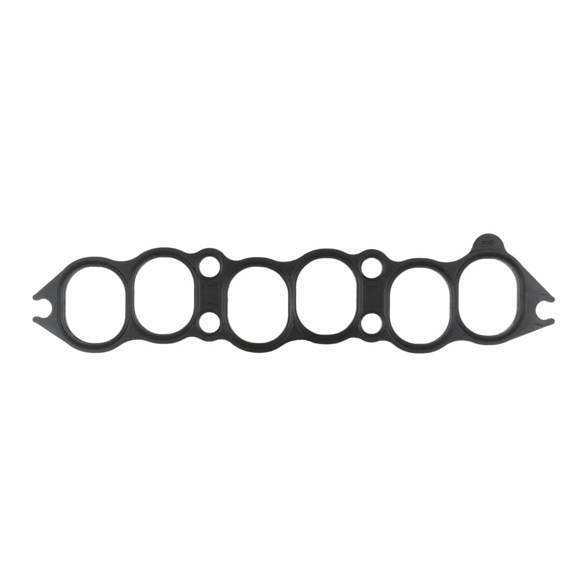 Fuel Injection Plenum Gasket