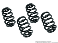 Neuspeed Sport Spring Kit / Passat B5.5 / 1.8T / Wagon - (NLA)