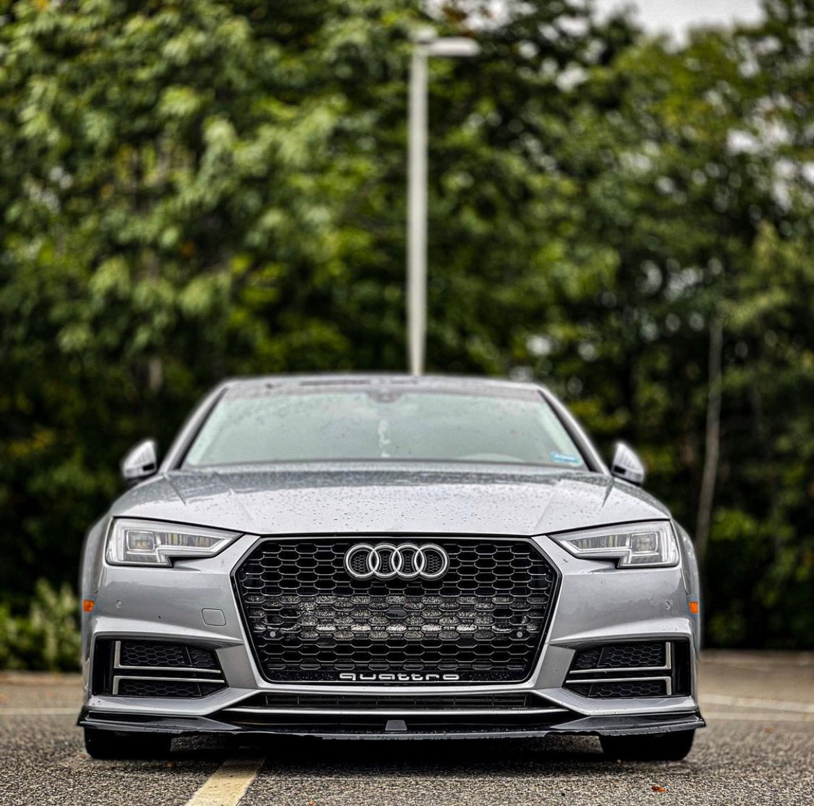 Audi RS4 Honeycomb Front Grille | (2017-2019) B9 A4/S4
