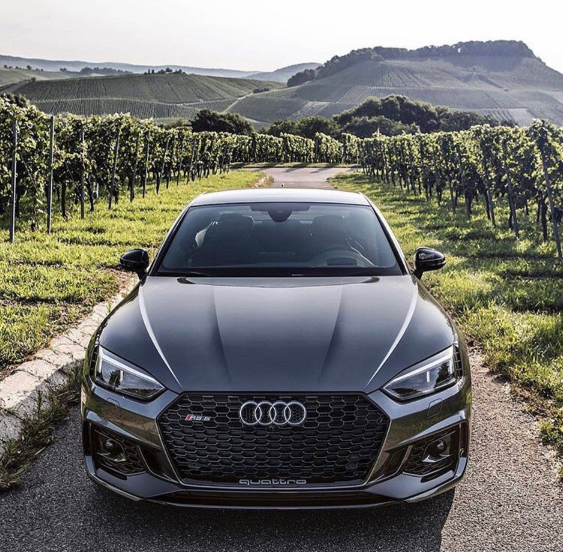 Audi RS5 Honeycomb Front Grille | (2017-2019) B9 A5/S5