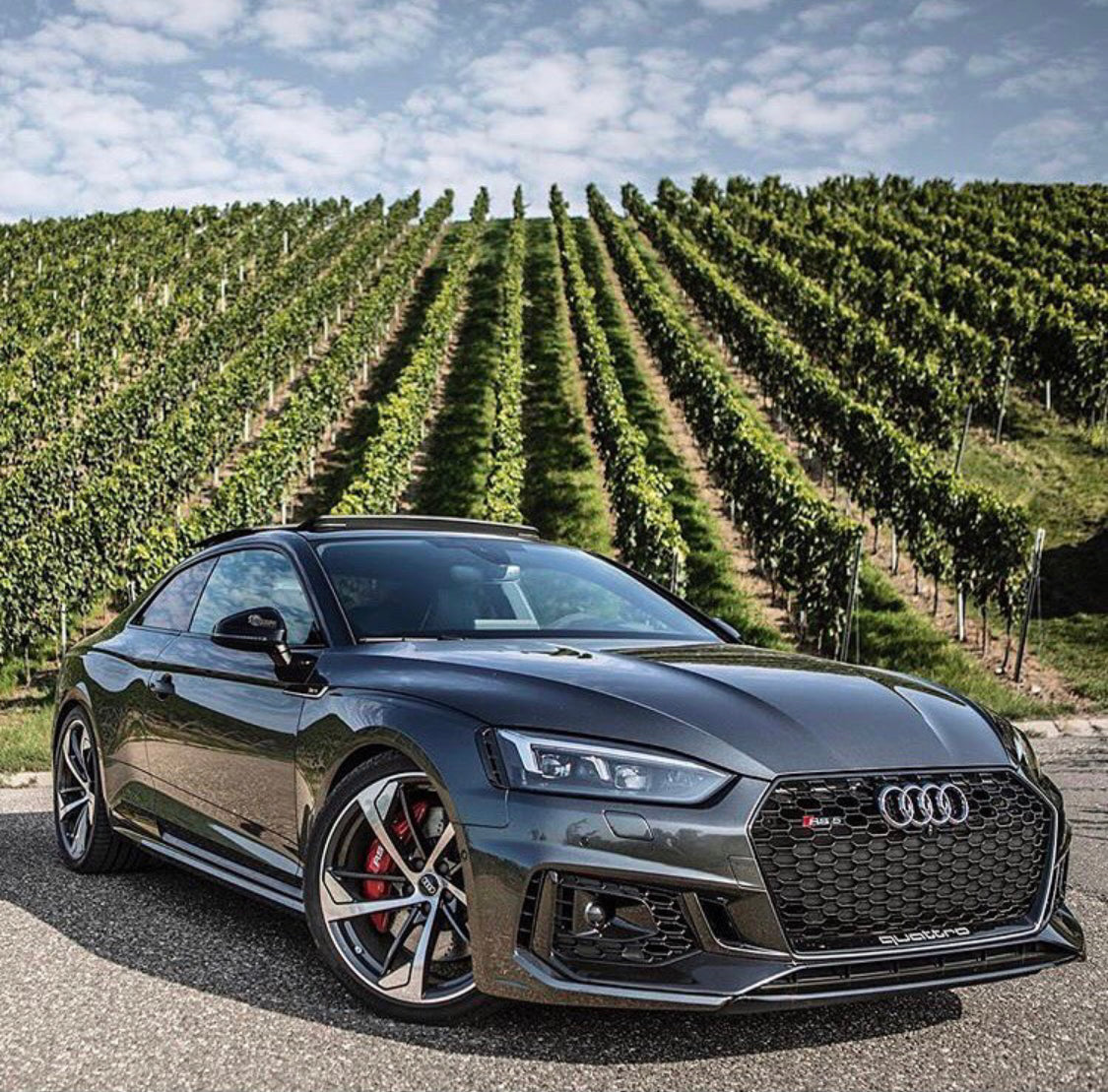 Audi RS5 Honeycomb Front Grille | (2017-2019) B9 A5/S5