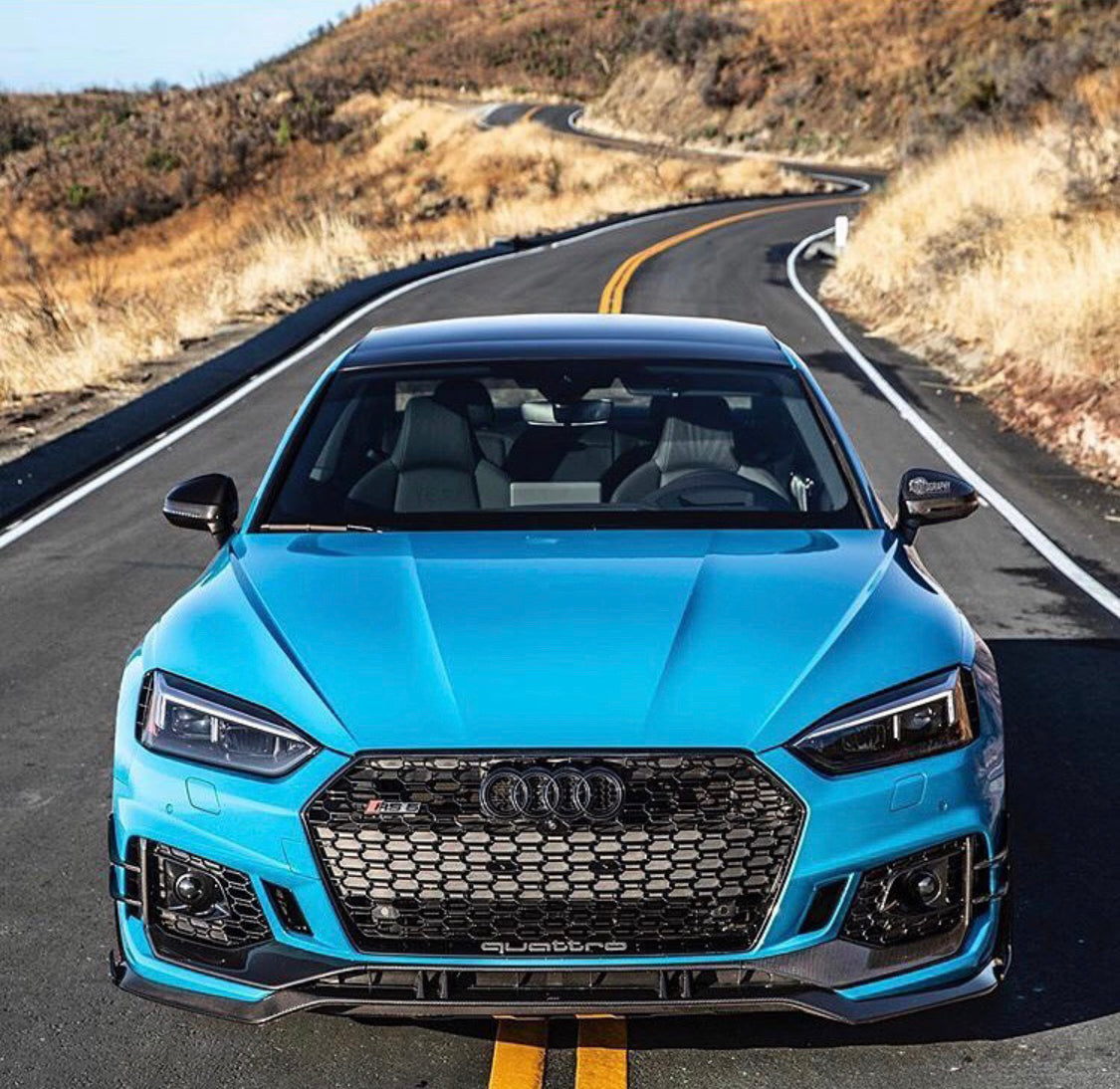 Audi RS5 Honeycomb Front Grille | (2017-2019) B9 A5/S5