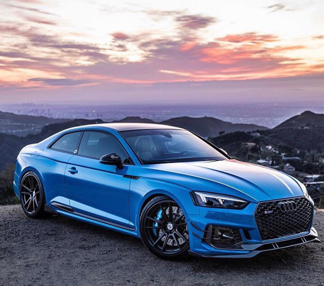 Audi RS5 Honeycomb Front Grille | (2017-2019) B9 A5/S5