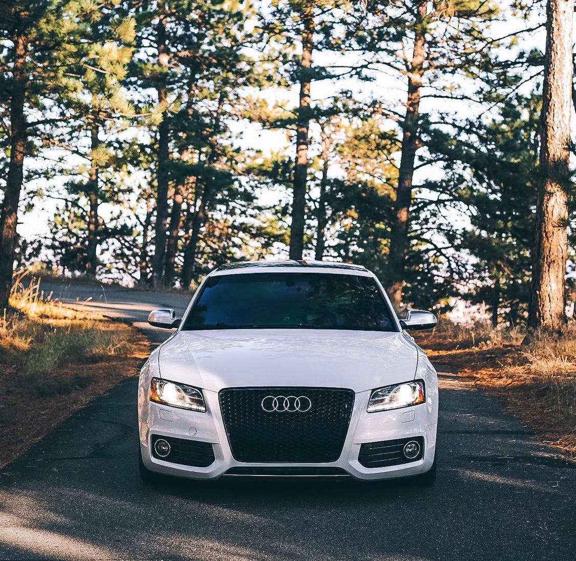 Audi RS5 Honeycomb Front Grille | (2008-2012) B8 A5/S5