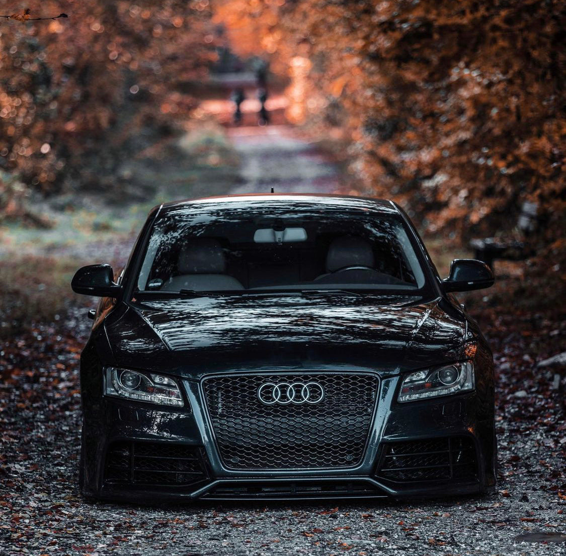Audi RS5 Honeycomb Front Grille | (2008-2012) B8 A5/S5