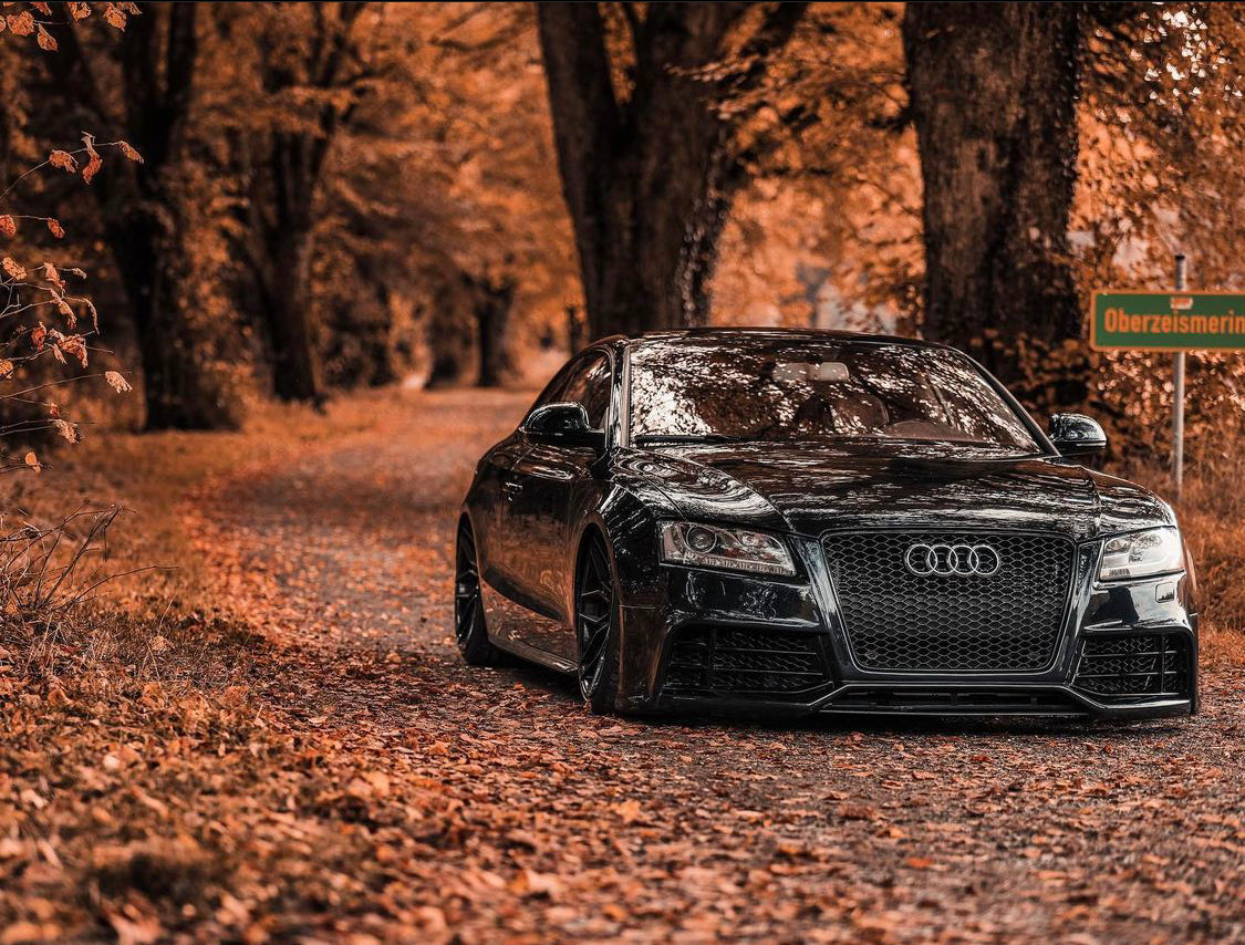 Audi RS5 Honeycomb Front Grille | (2008-2012) B8 A5/S5