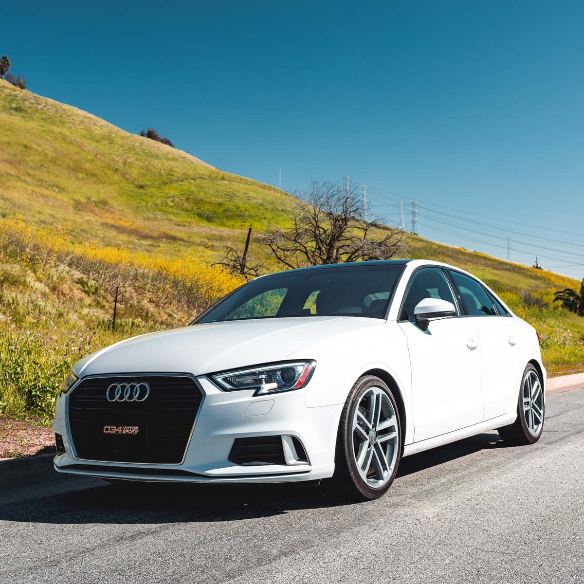 034 Motorsport Dynamic+ Lowering Springs - Audi / 8V / A3 / S3 (Non-Magride)