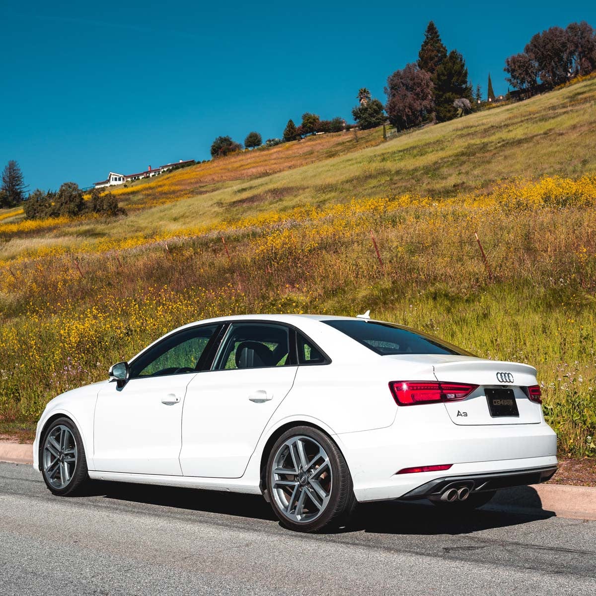 034 Motorsport Dynamic+ Lowering Springs - Audi / 8V / A3 / S3 (Non-Magride)