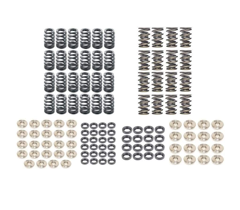 Ferrea Complete Single/Dual Valve Spring Kit - VW/Audi 4.2T 40V