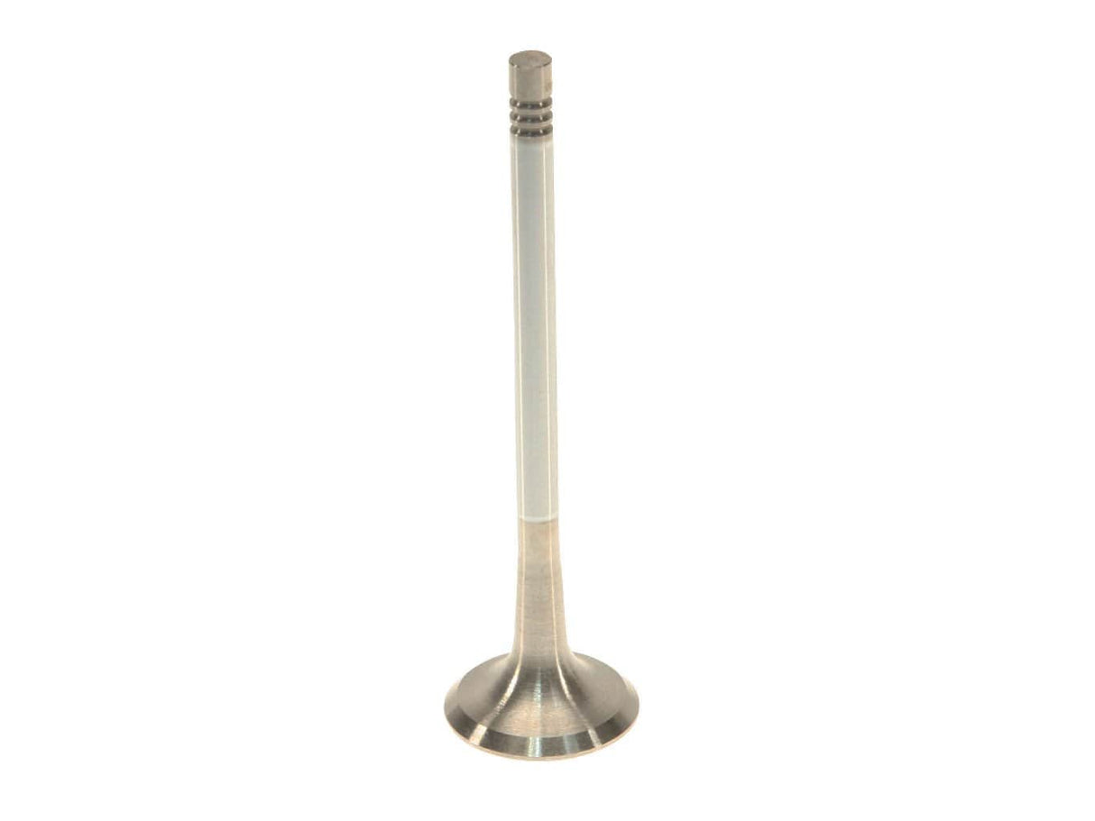 Exhaust Valve - Audi / VW (many models check fitment)
