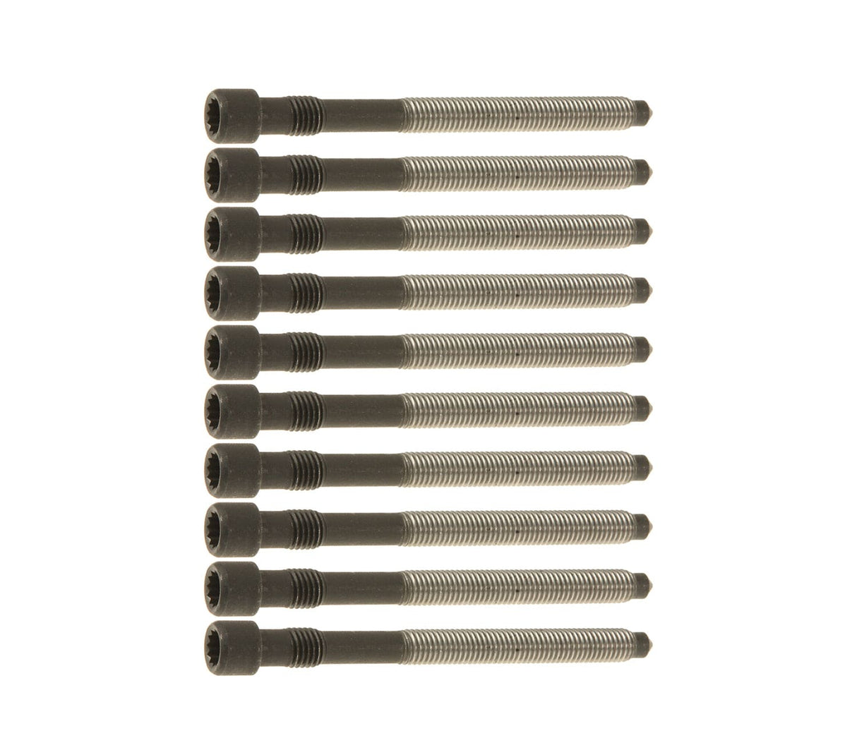 Cylinder Head Bolt (Set of 10) - VW/Audi / 4.2L V8 / B6 / B7 / S4 / S5 / C5 / A6 / S6 & More