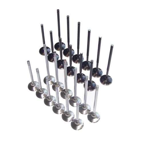 Valves Intake and Exhaust Set | 24v VR6 - (NLA)