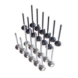 Valves Intake and Exhaust Set | 24v VR6 - (NLA)