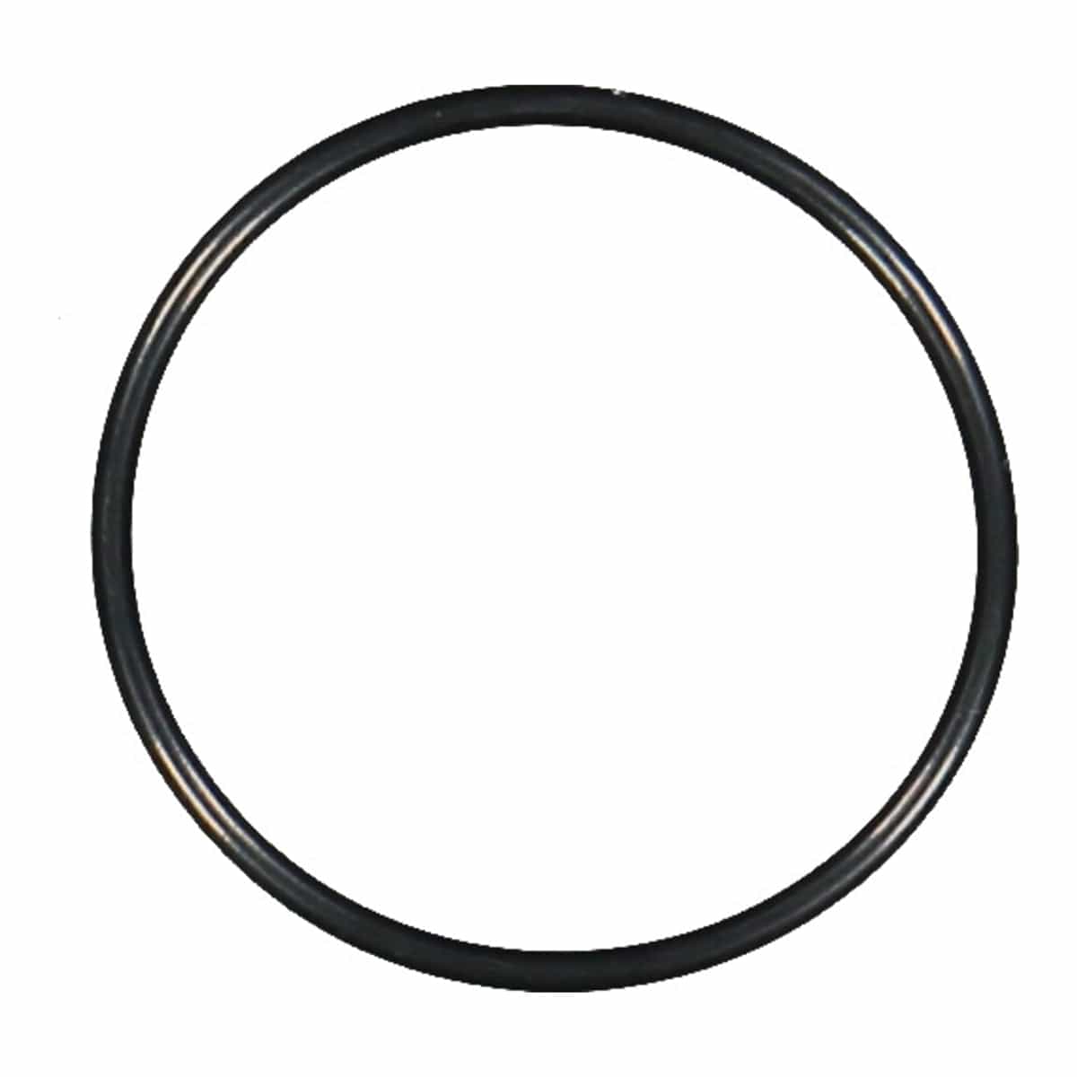 Engine Water Pump Housing O-Ring