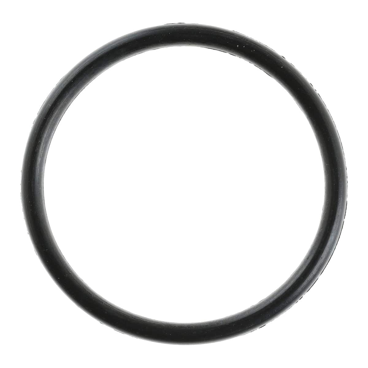 Fuel Injection Idle Air Control Valve Seal