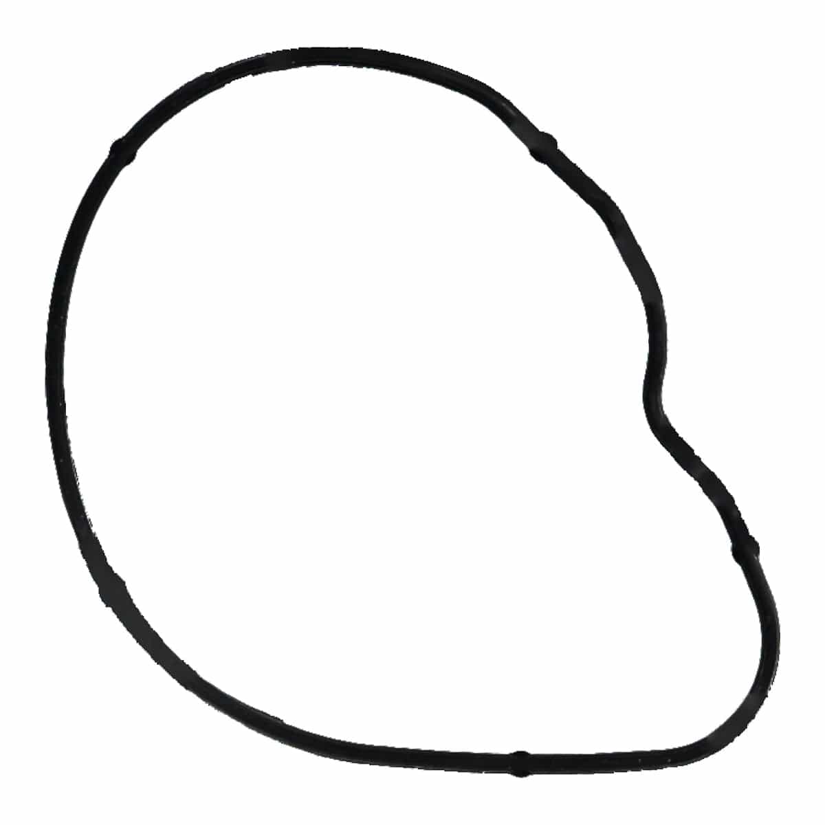 Engine Coolant Thermostat Gasket - Ford