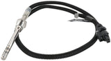 Exhaust Gas Temperature Sensor