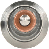 Common Rail Injector