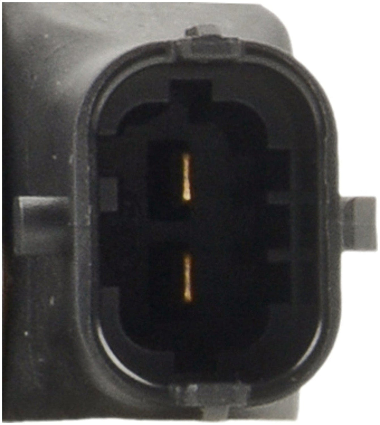 Common Rail Injector