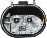 Common Rail Pump