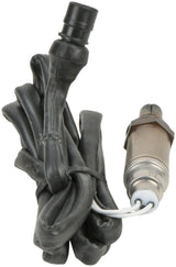 Oxygen Sensor - BMW