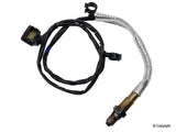 Wide-Band Oxygen Sensor