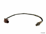 Wide-Band Oxygen Sensor - Porsche