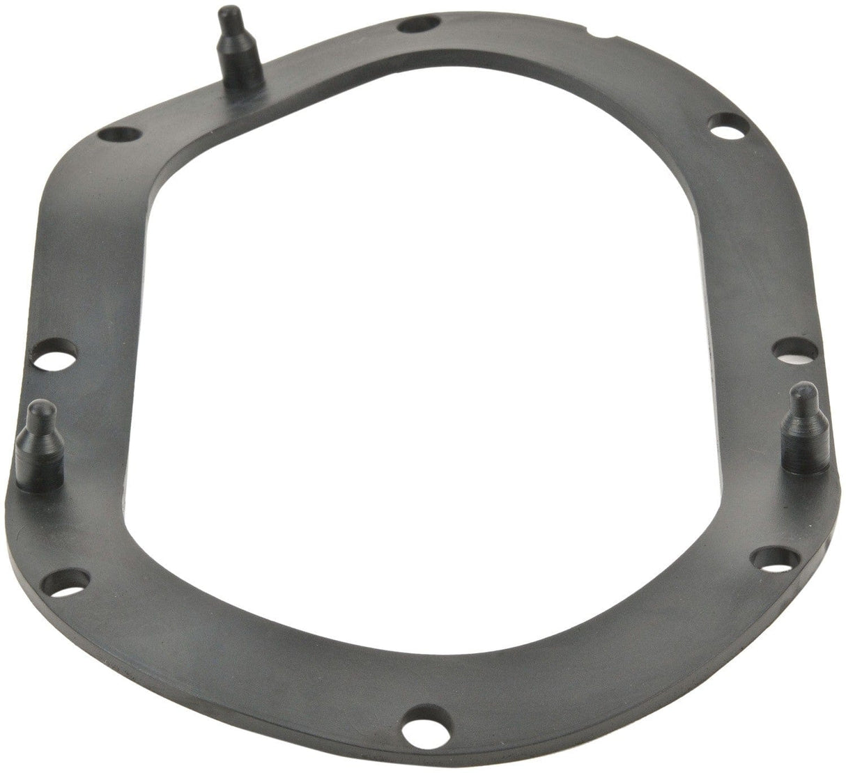 Fuel Pump Tank Seal