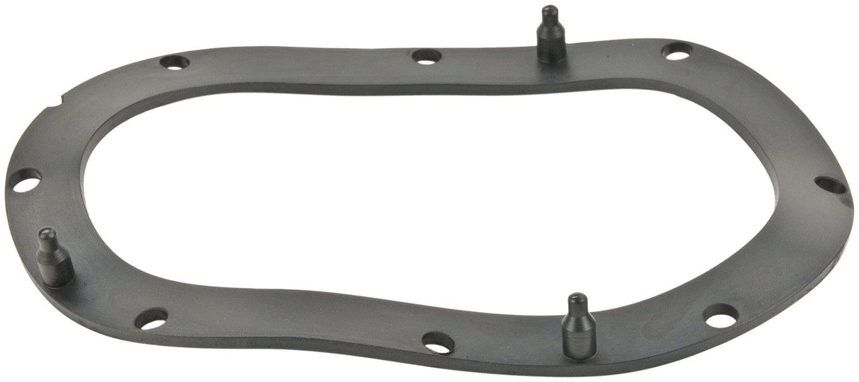 Fuel Pump Tank Seal