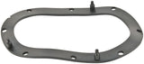 Fuel Pump Tank Seal
