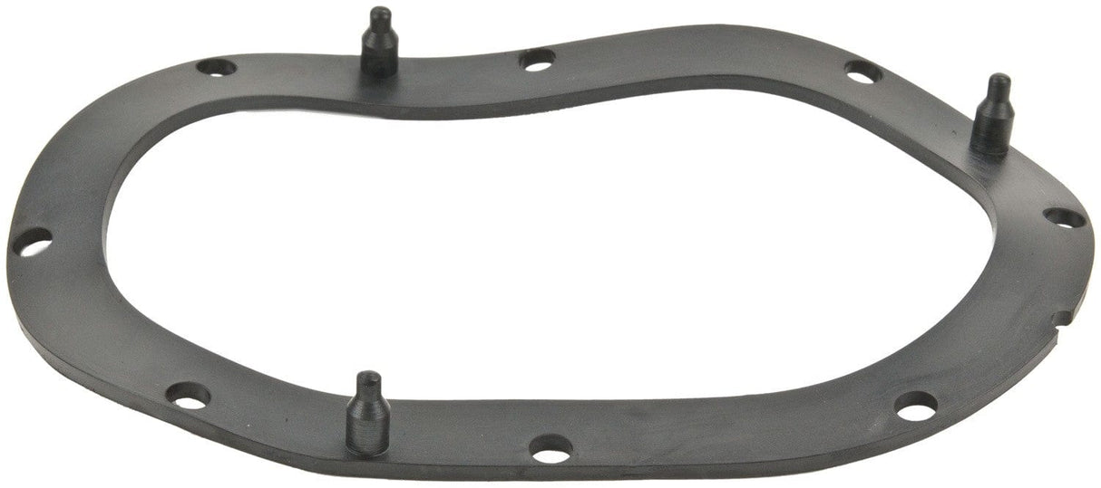 Fuel Pump Tank Seal